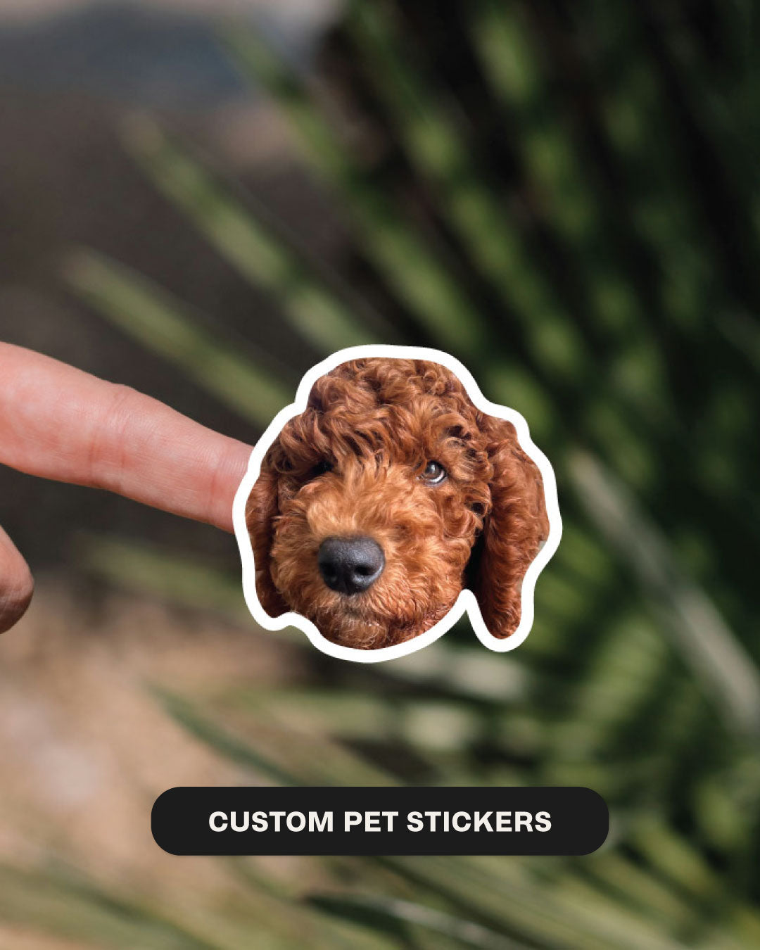 Custom Pet Stickers
