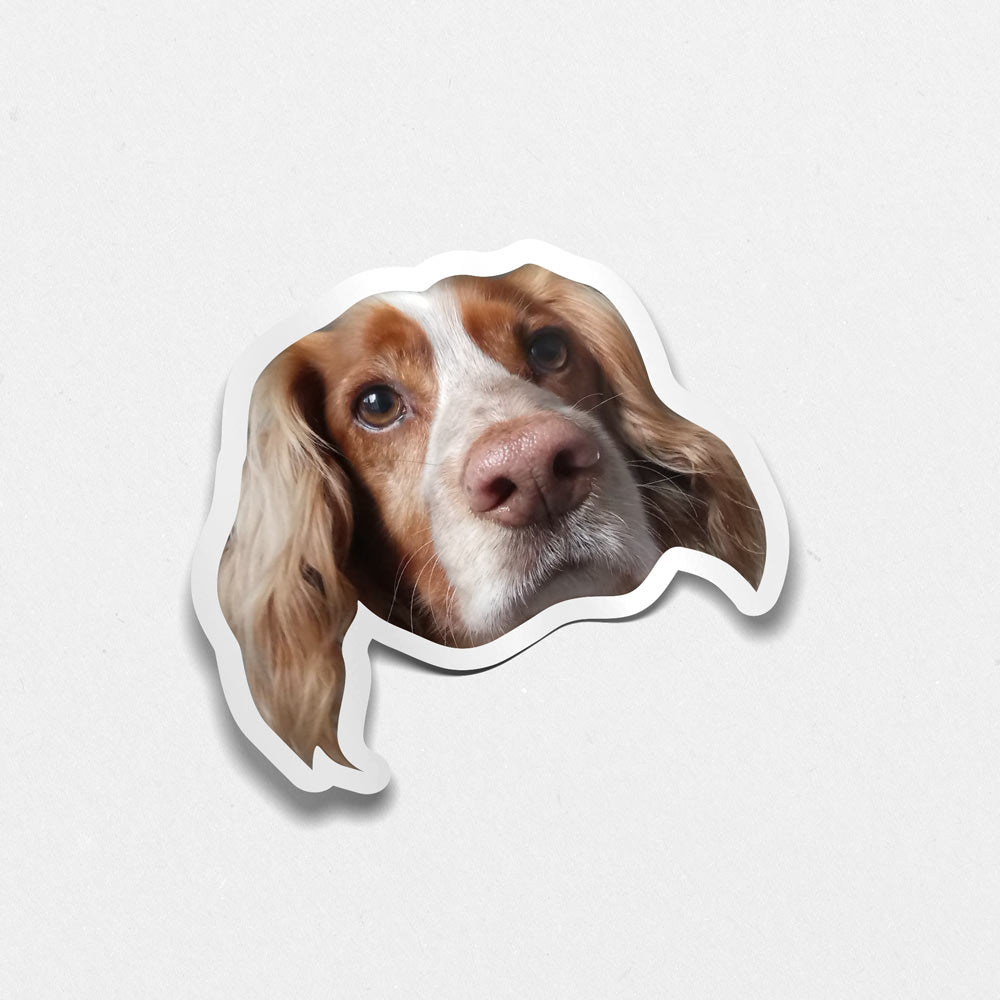 Custom Pet Sticker