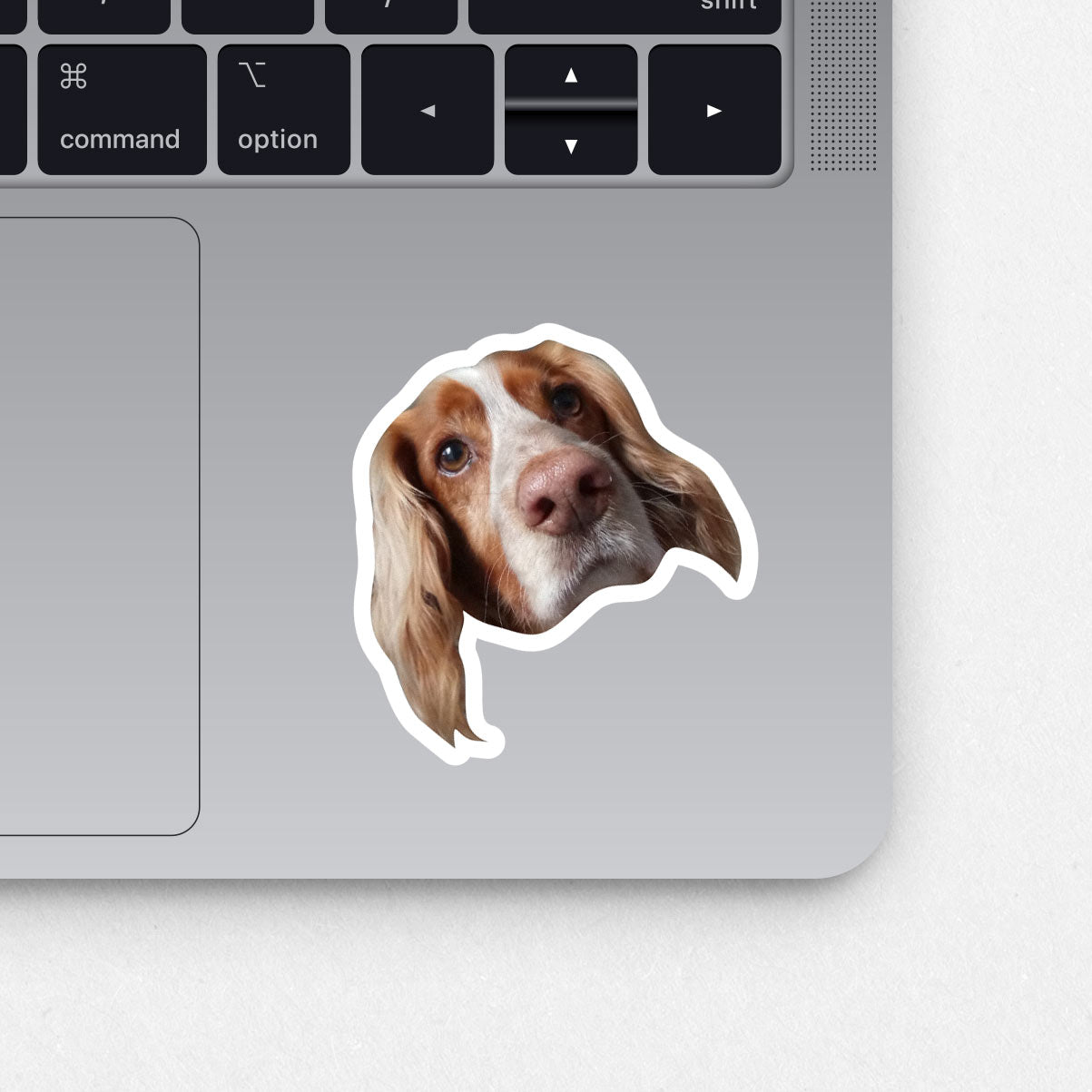 Custom Pet Sticker