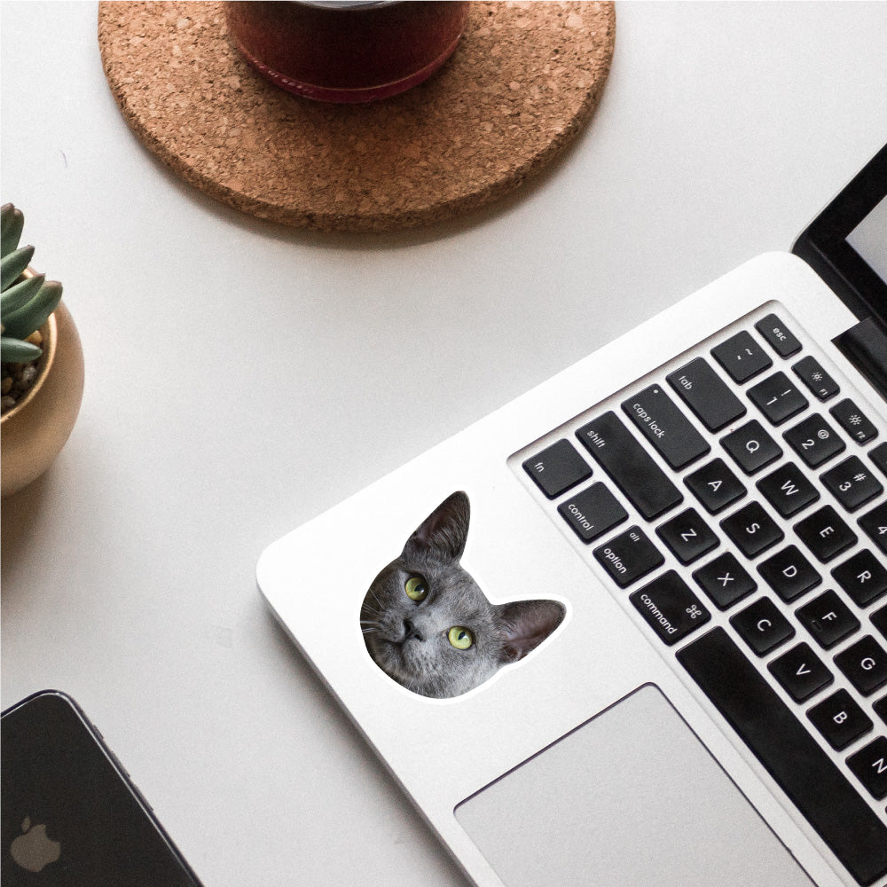 Custom Cat Sticker