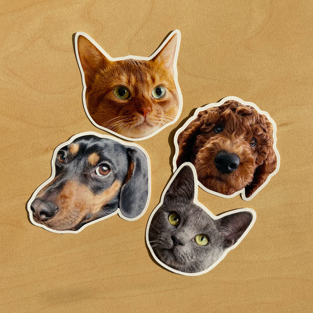 Cats and Dogs Stickers Laying on Wood Table