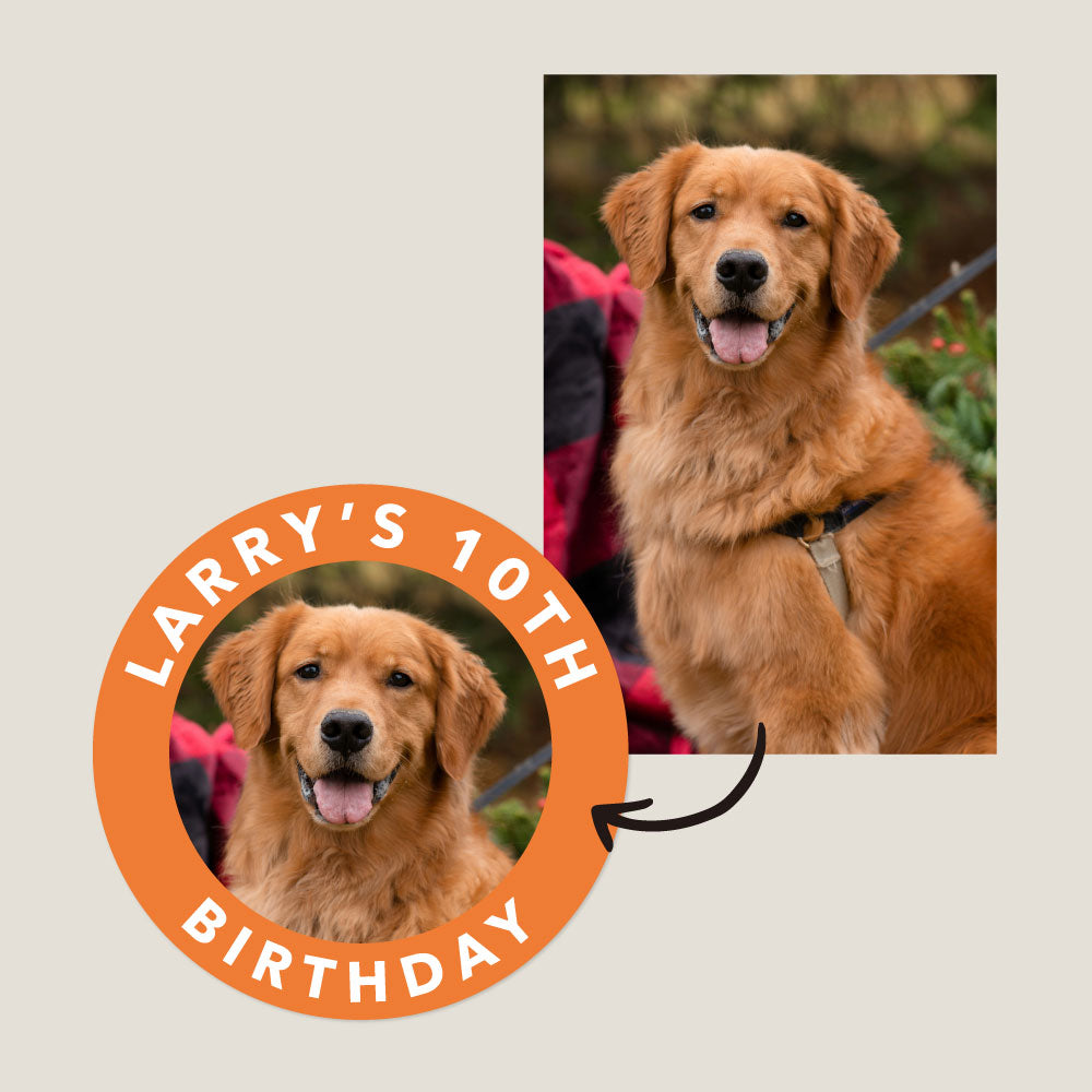 birthday party stickers dog