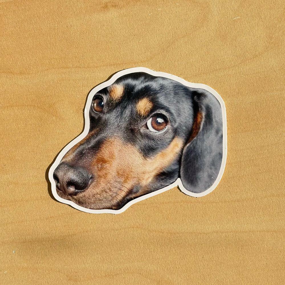 Custom Dog Stickers