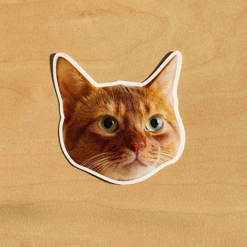 Custom Cat Sticker