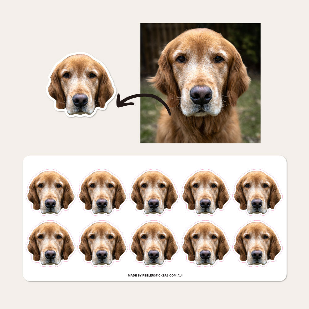 Custom Pet Face Sticker