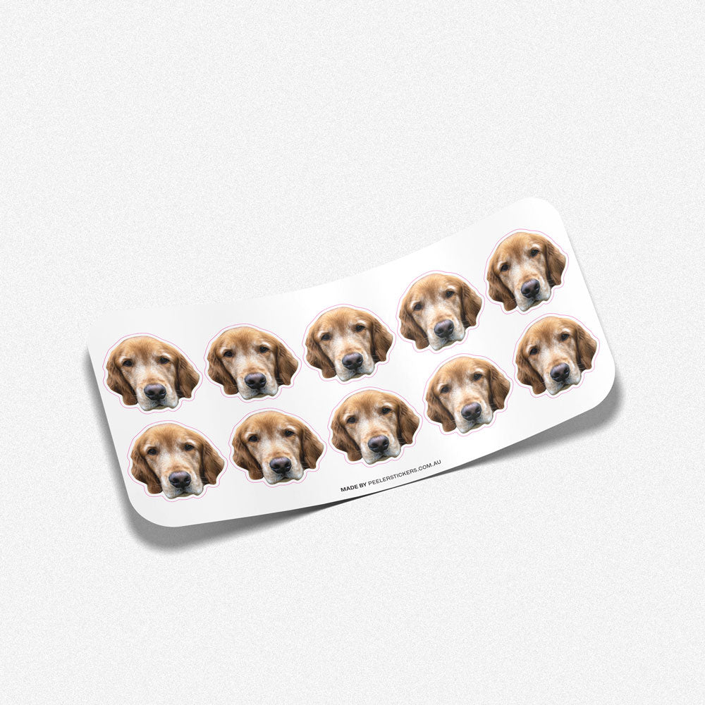 Custom Pet Face Sticker