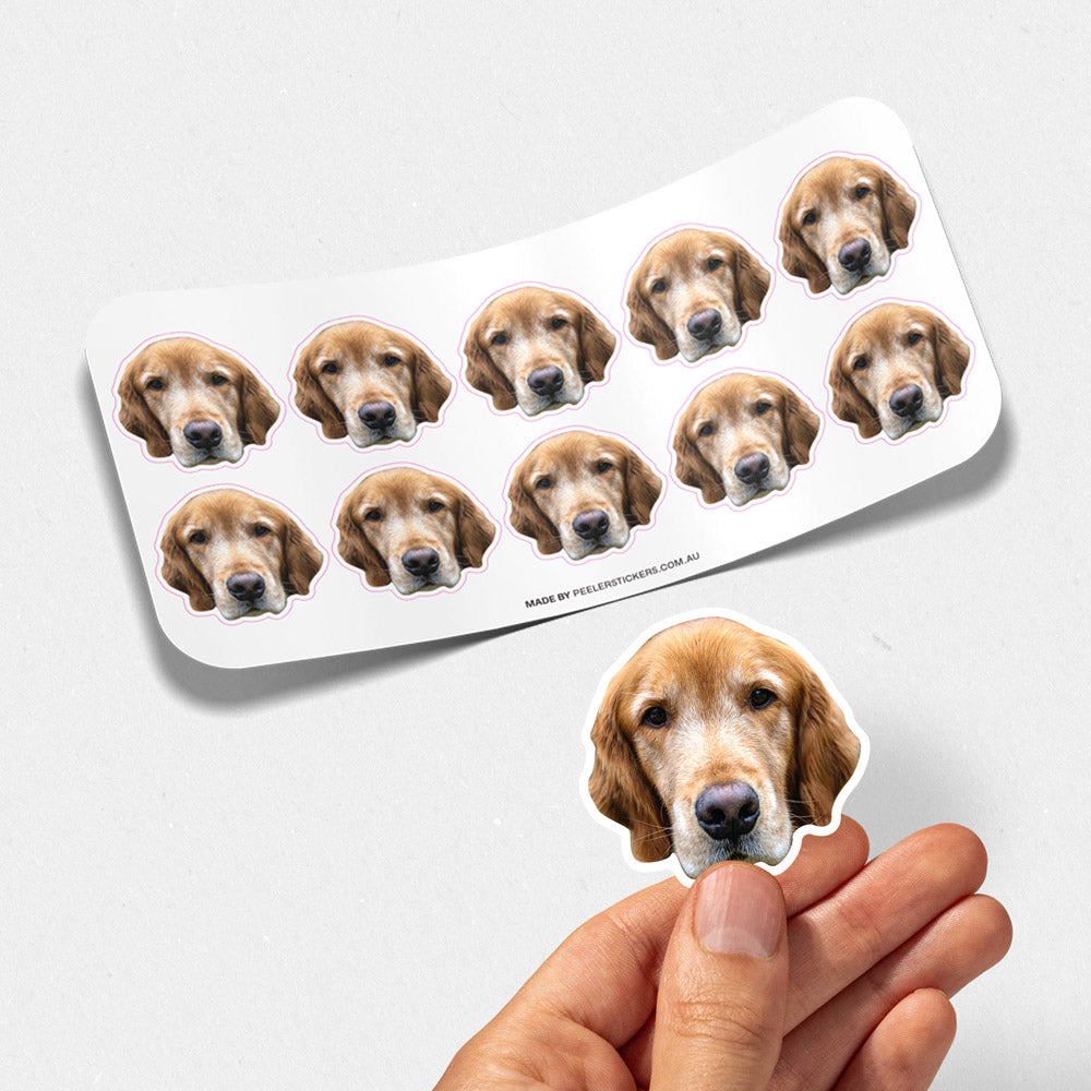 Custom Pet Face Sticker Sheet