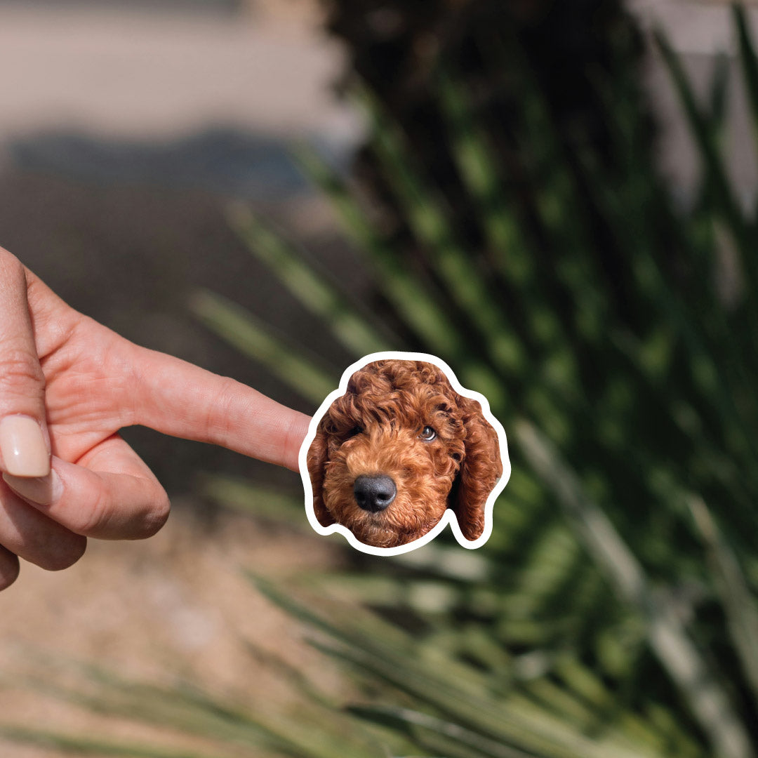 Custom Dog Sticker Sheet