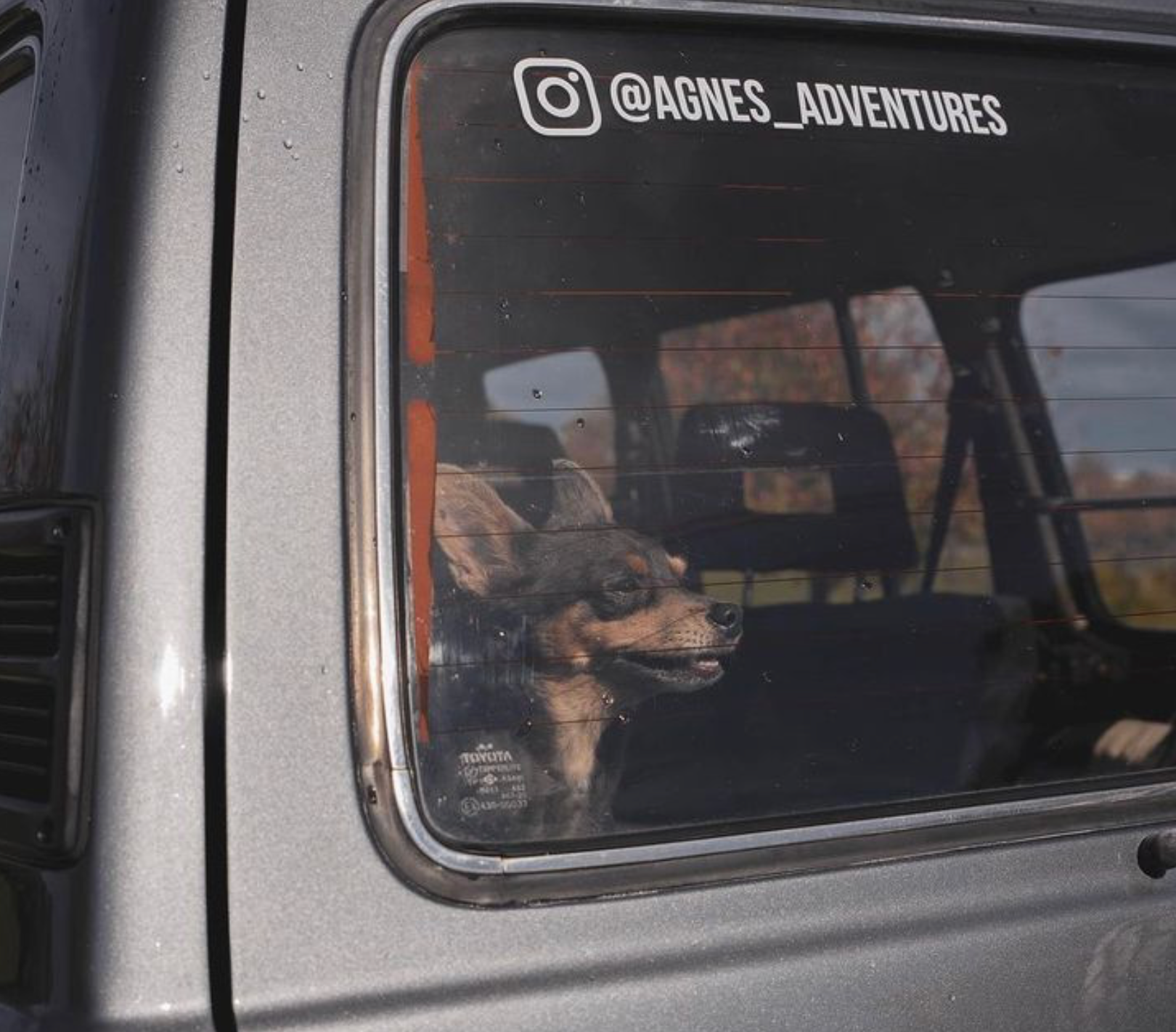 Instagram Decal on Car Window