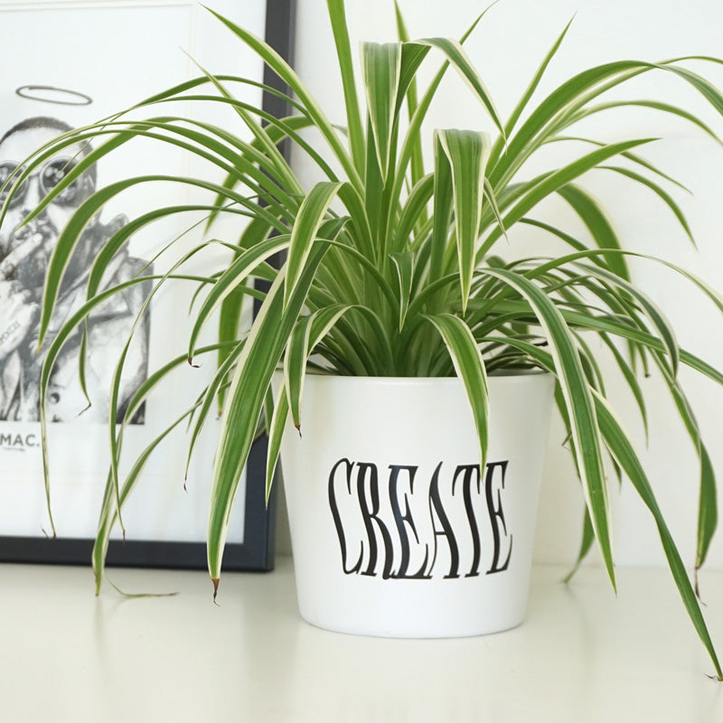 CREATE Decal Sticker