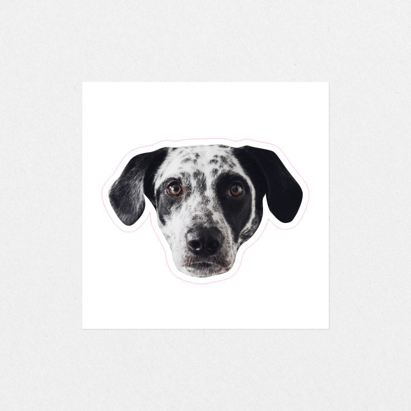 Custom Pet Face Sticker