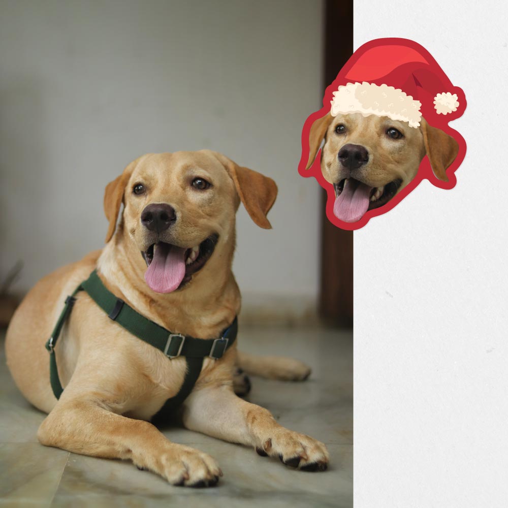 Custom Christmas Pet Sticker