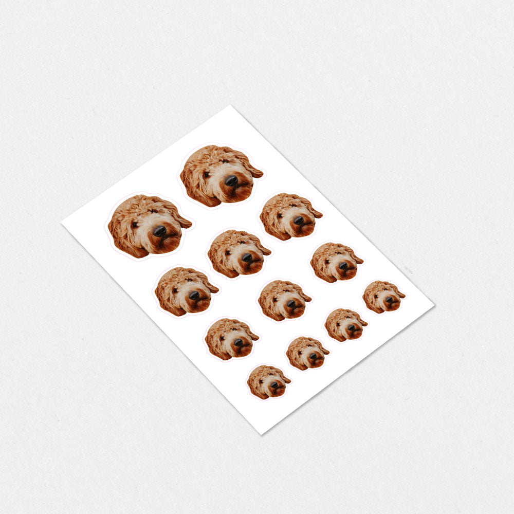 Custom Pet Sticker Sheet (Includes 12 Stickers)