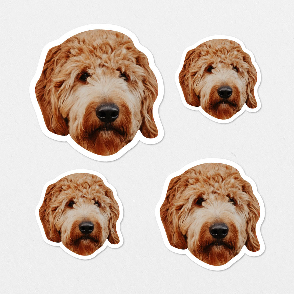 Custom Pet Sticker Sheet (Includes 12 Stickers)