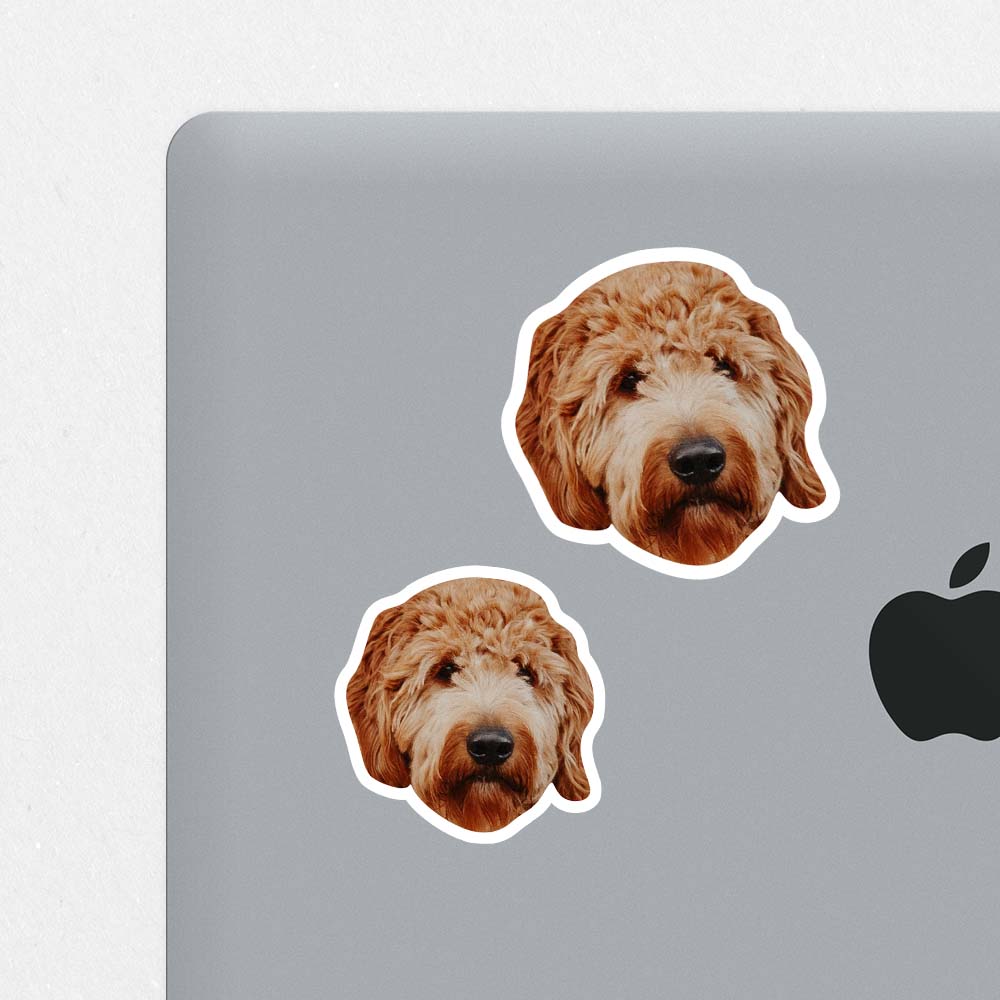 Custom Pet Sticker Sheet (Includes 12 Stickers)