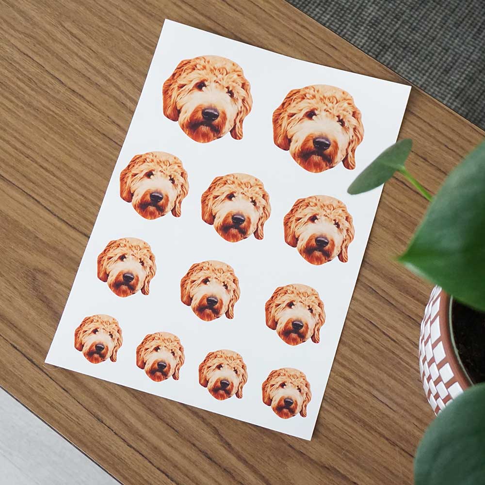 Custom Pet Sticker Sheet (Includes 12 Stickers)
