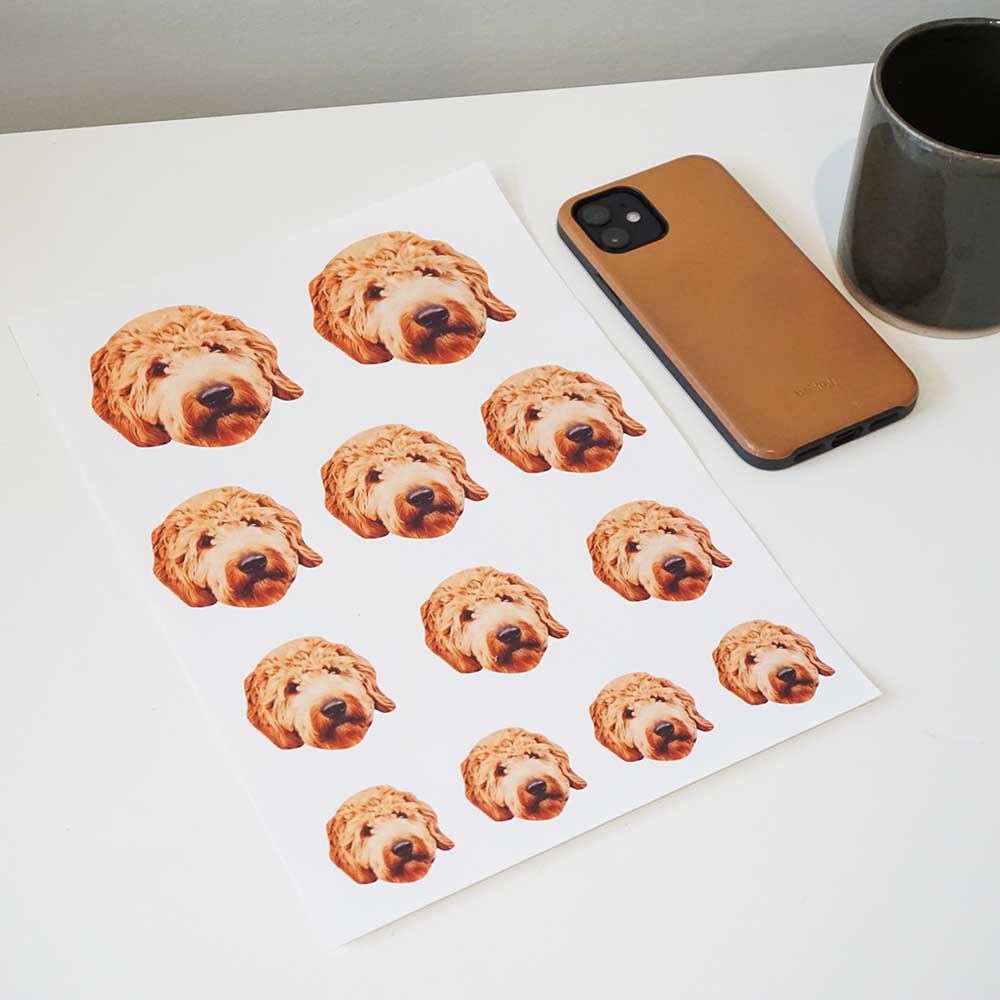 Custom Pet Sticker Sheet (Includes 12 Stickers)