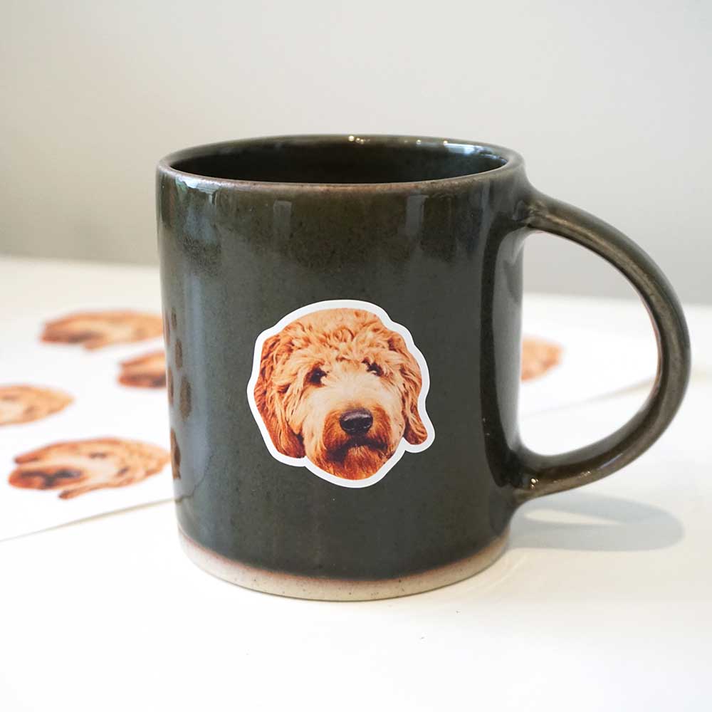 Custom Pet Sticker Sheet (Includes 12 Stickers)