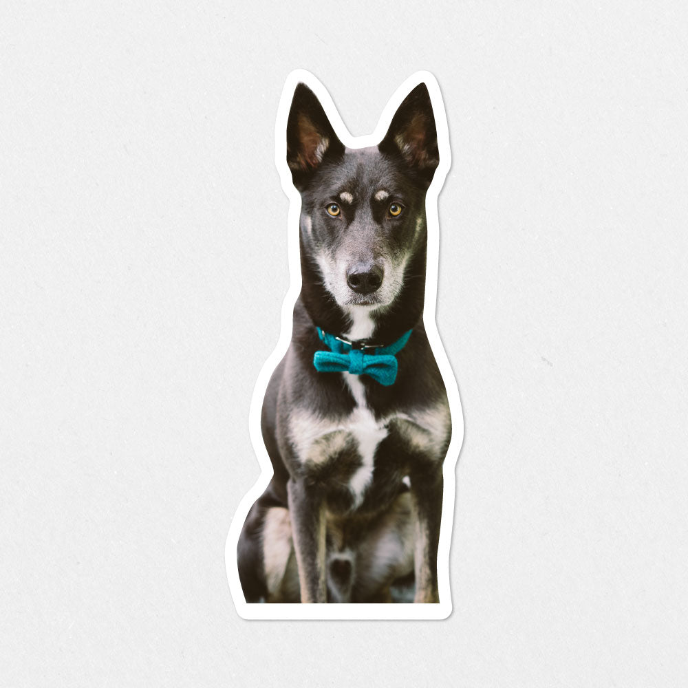 Custom Life Size Dog Sticker
