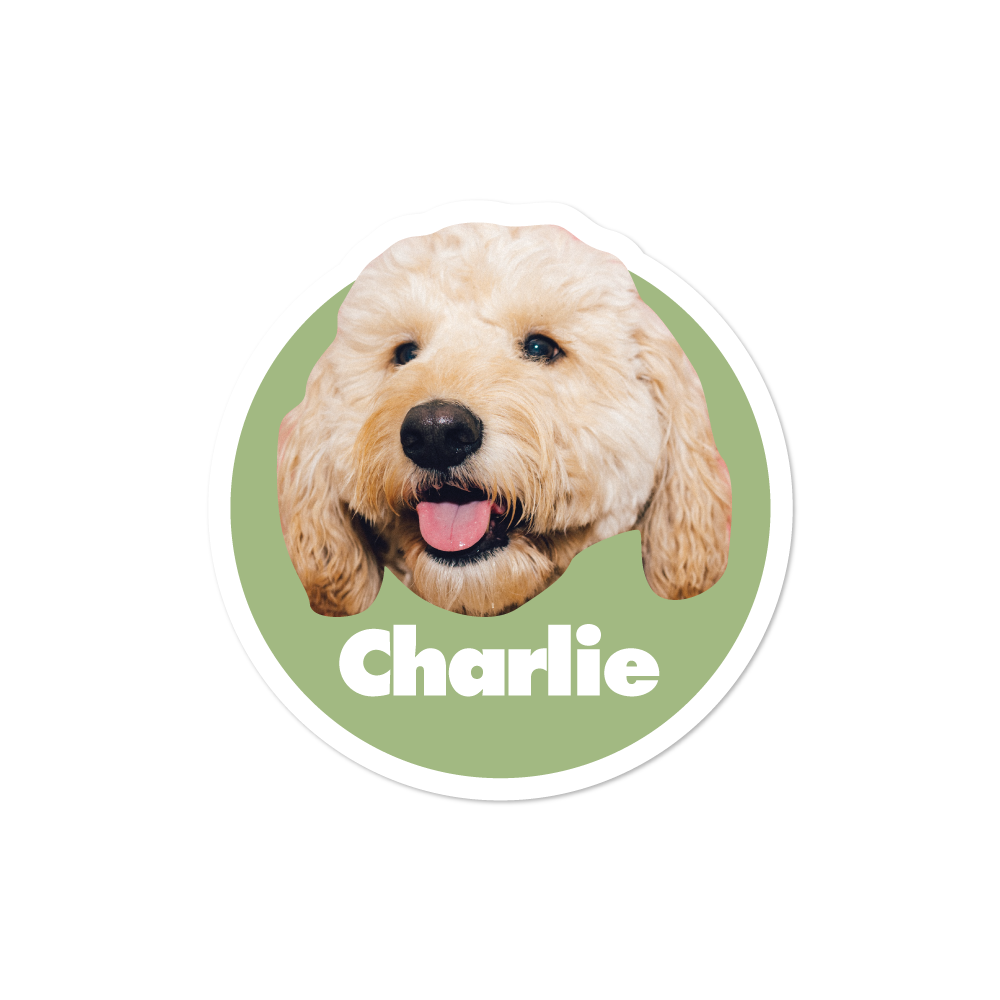 Custom Retro Pet Sticker with Name Sticker
