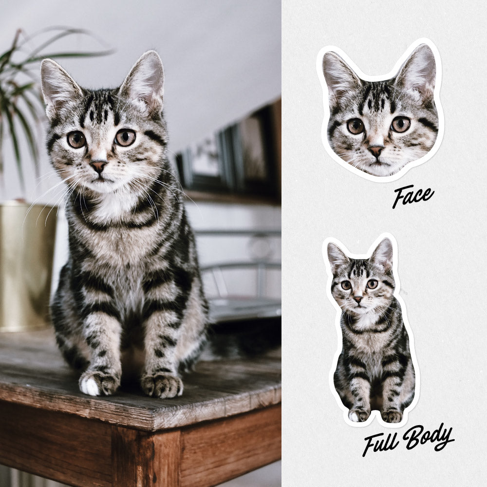 Custom Cat Sticker