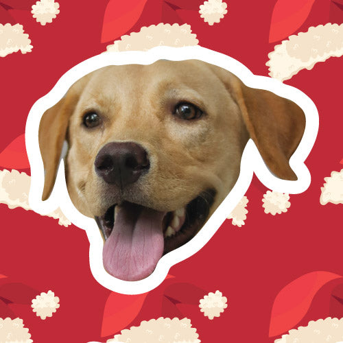 Christmas Hat Pattern - Custom Pet Sticker Sheet (Includes 12 Stickers)