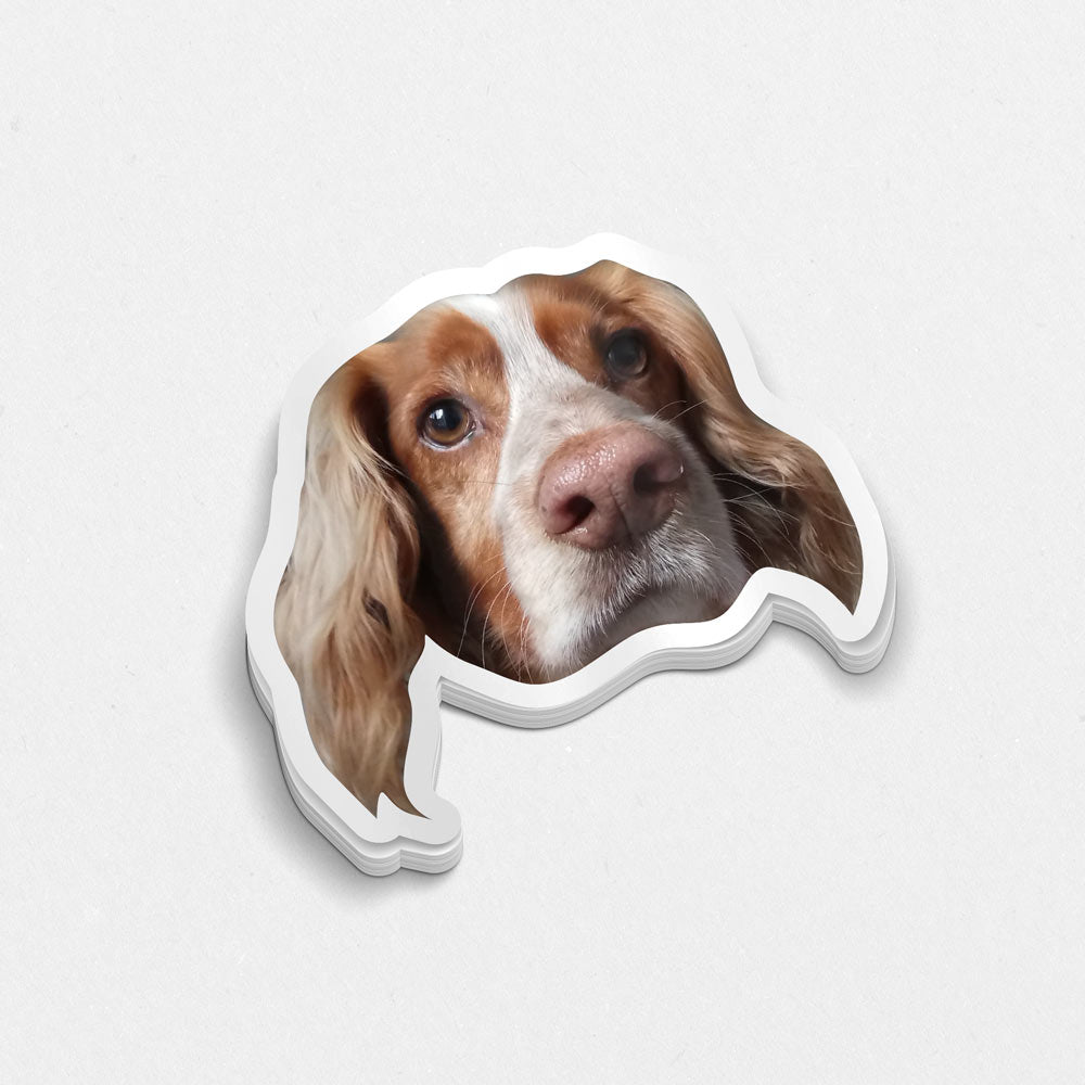 Custom Pet Sticker