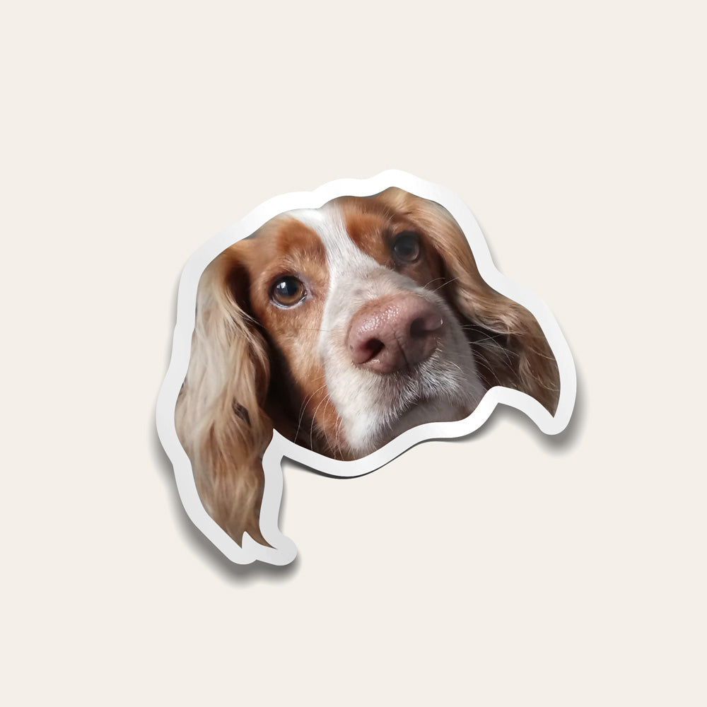 Custom Pet Sticker