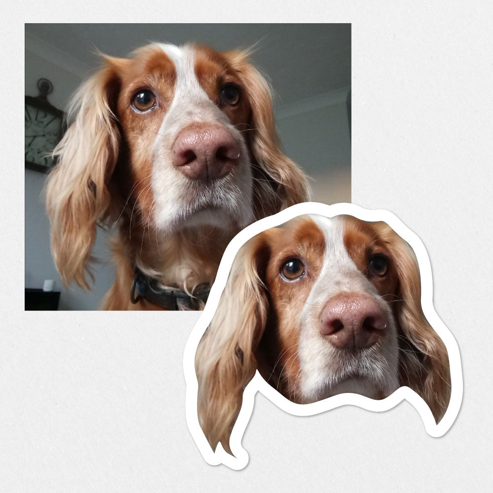 Custom Dog Sticker - Get a custom sticker of your pet! – Peeler Stickers