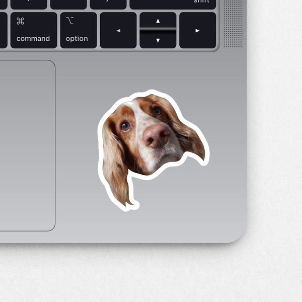 Custom Pet Sticker