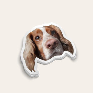 Custom Pet Sticker