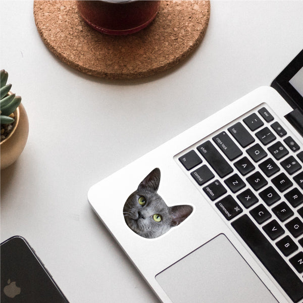 Custom Cat Sticker