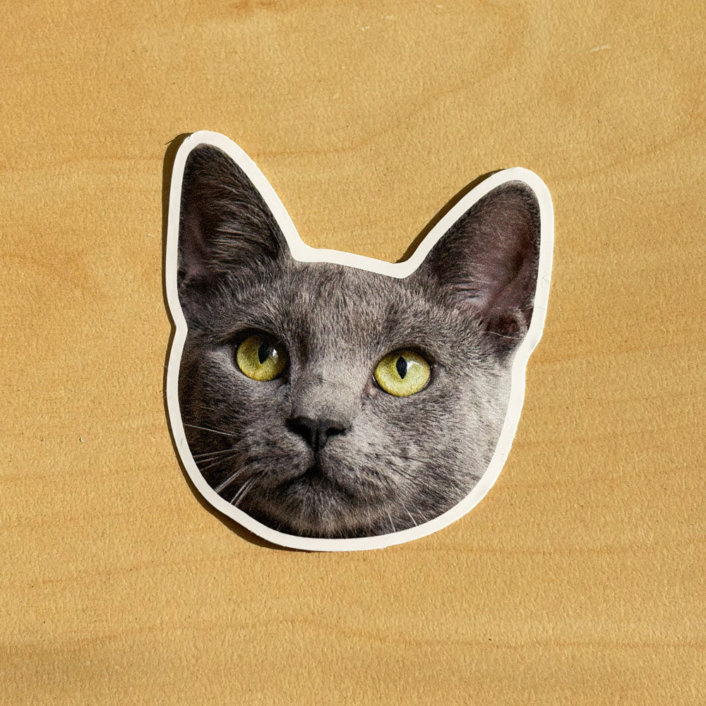 Custom Cat Sticker