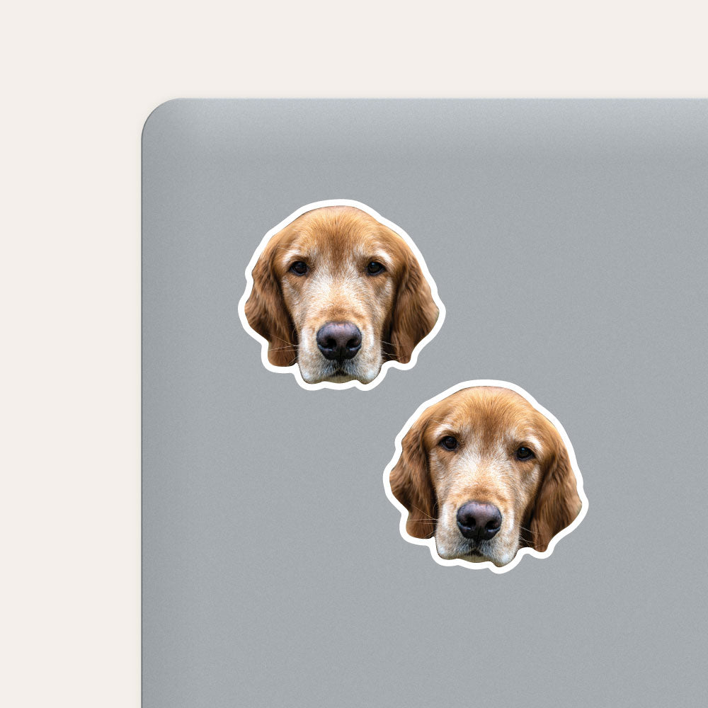 Custom Pet Face Sticker