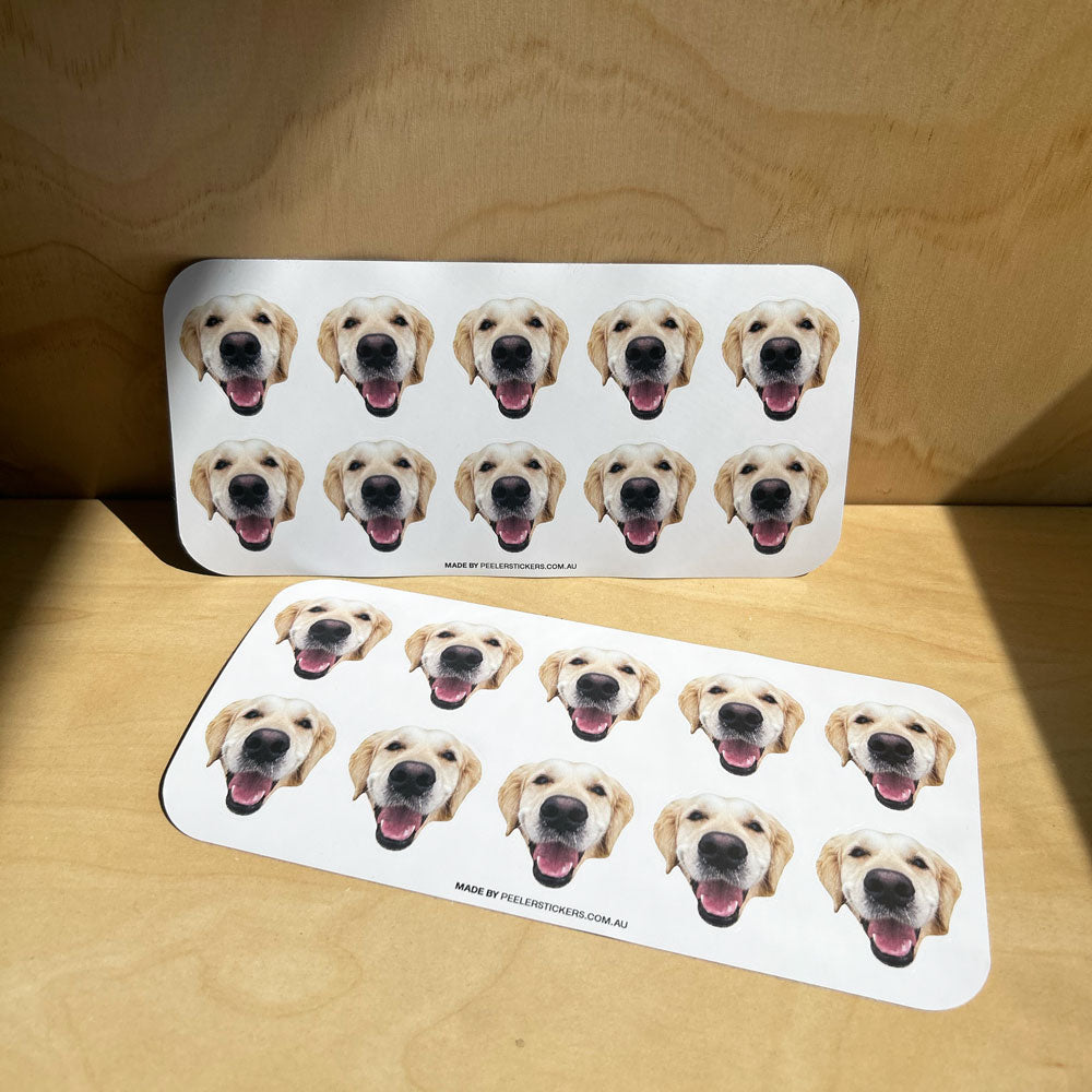Custom Pet Face Sticker Sheet