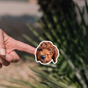 Custom Dog Sticker Sheet