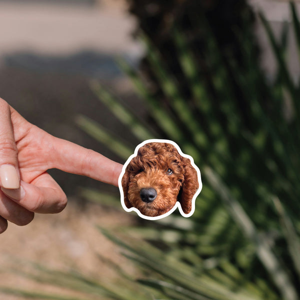Custom Dog Sticker Sheet