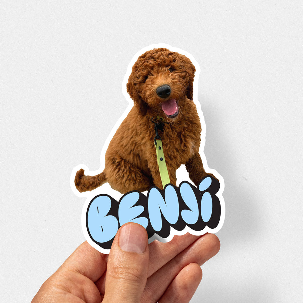 Personalised Pet Photo & Name Stickers