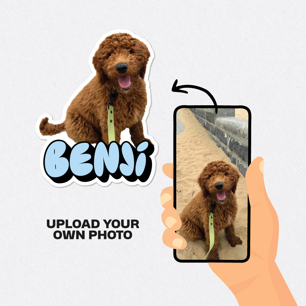 Personalised Pet Photo & Name Stickers