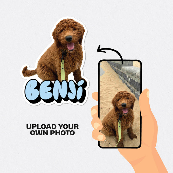 Personalised Pet Photo & Name Stickers