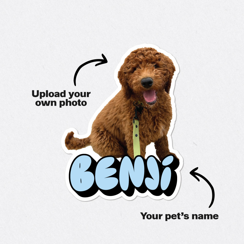 Personalised Pet Photo & Name Stickers