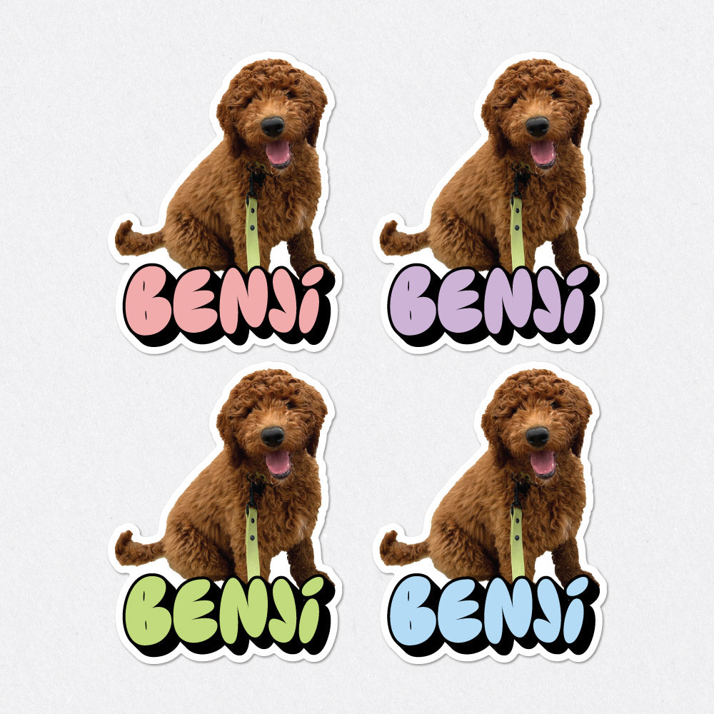 Personalised Pet Photo & Name Stickers