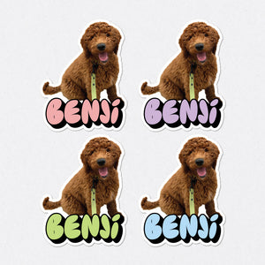 Personalised Pet Photo & Name Stickers