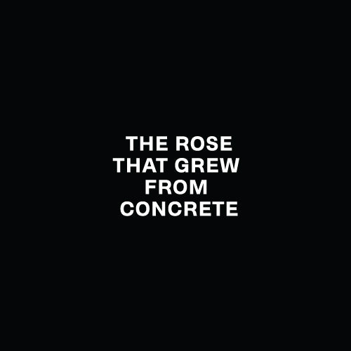 THE ROSE THAT GREW FROM CONCRETE Decal Sticker