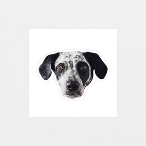 Custom Pet Face Sticker