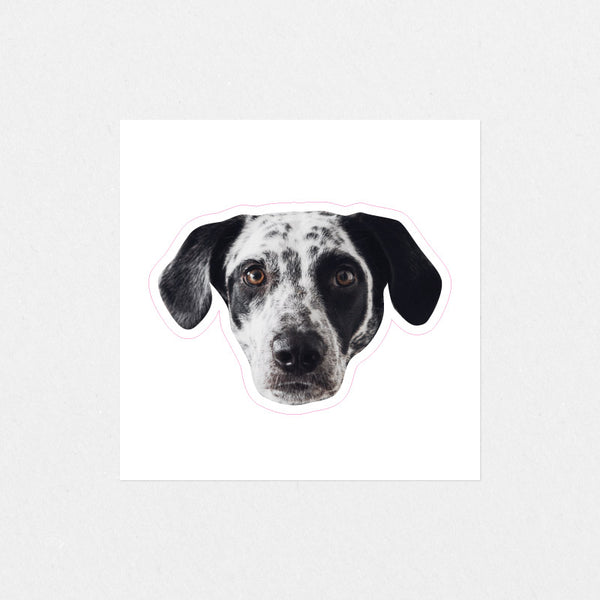 Custom Pet Face Sticker