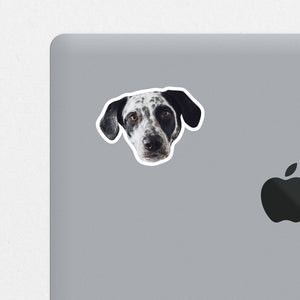 Custom Pet Face Sticker