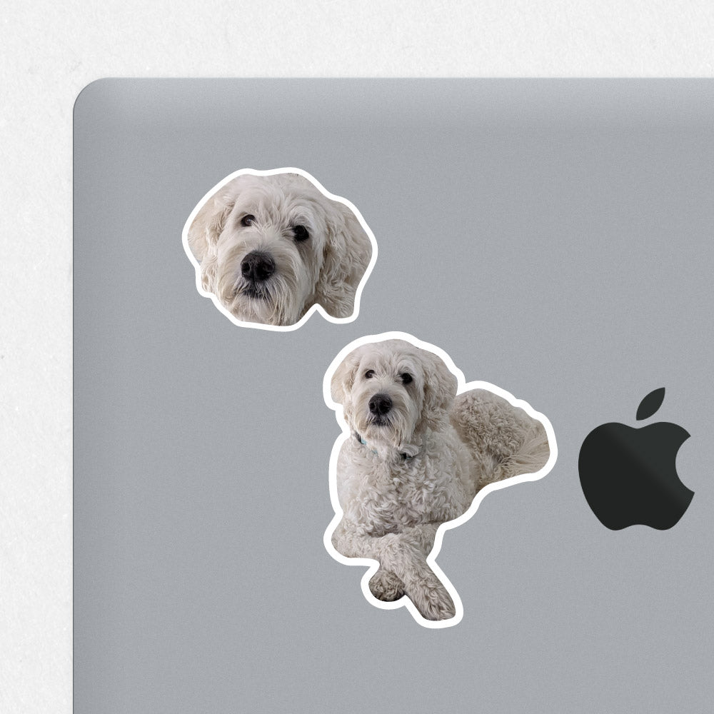 Custom Dog Sticker