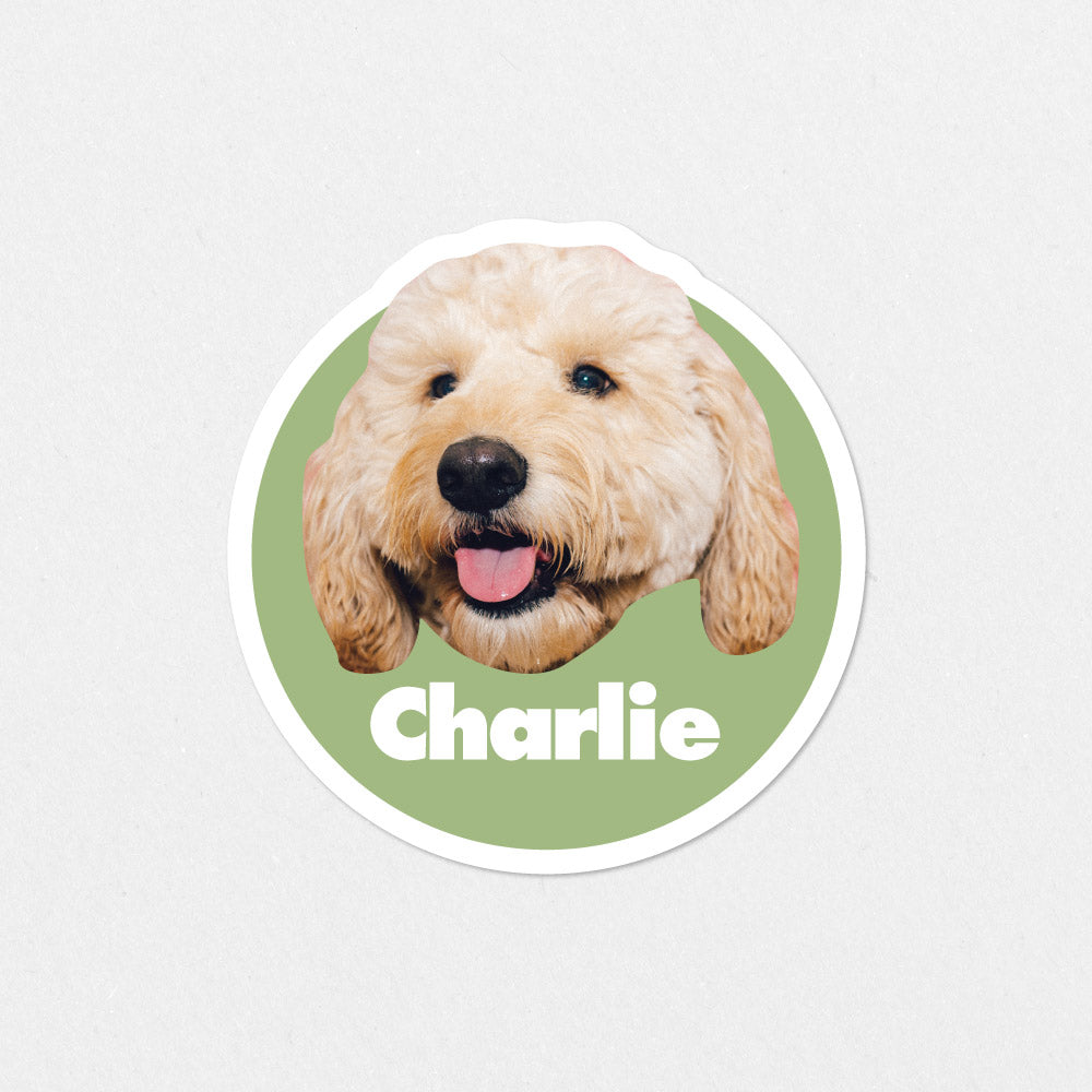 Custom Retro Pet Sticker with Name Sticker