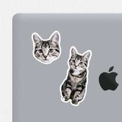 Custom Cat Sticker